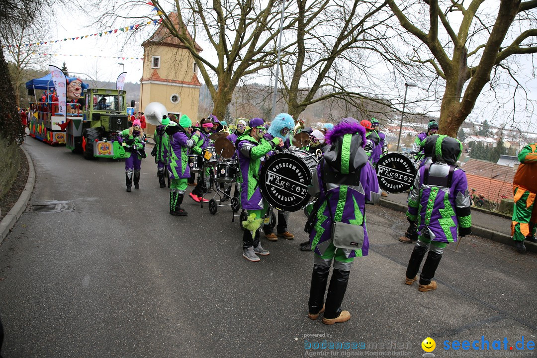 Fasnet Festumzug mit Motivwagen : Stockach am Bodensee, 01.02.2015