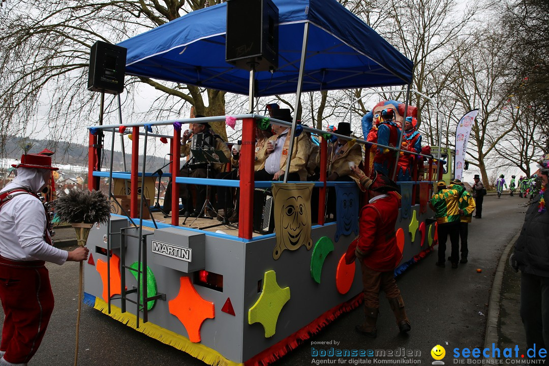 Fasnet Festumzug mit Motivwagen : Stockach am Bodensee, 01.02.2015
