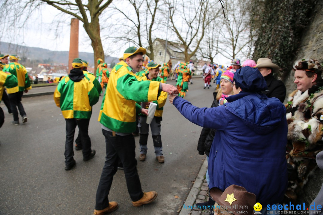 Fasnet Festumzug mit Motivwagen : Stockach am Bodensee, 01.02.2015