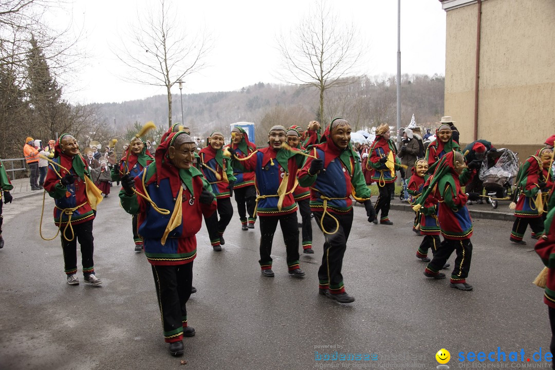 Festumzug mit Motivwagen: Stockach am Bodensee, 01.02.2015