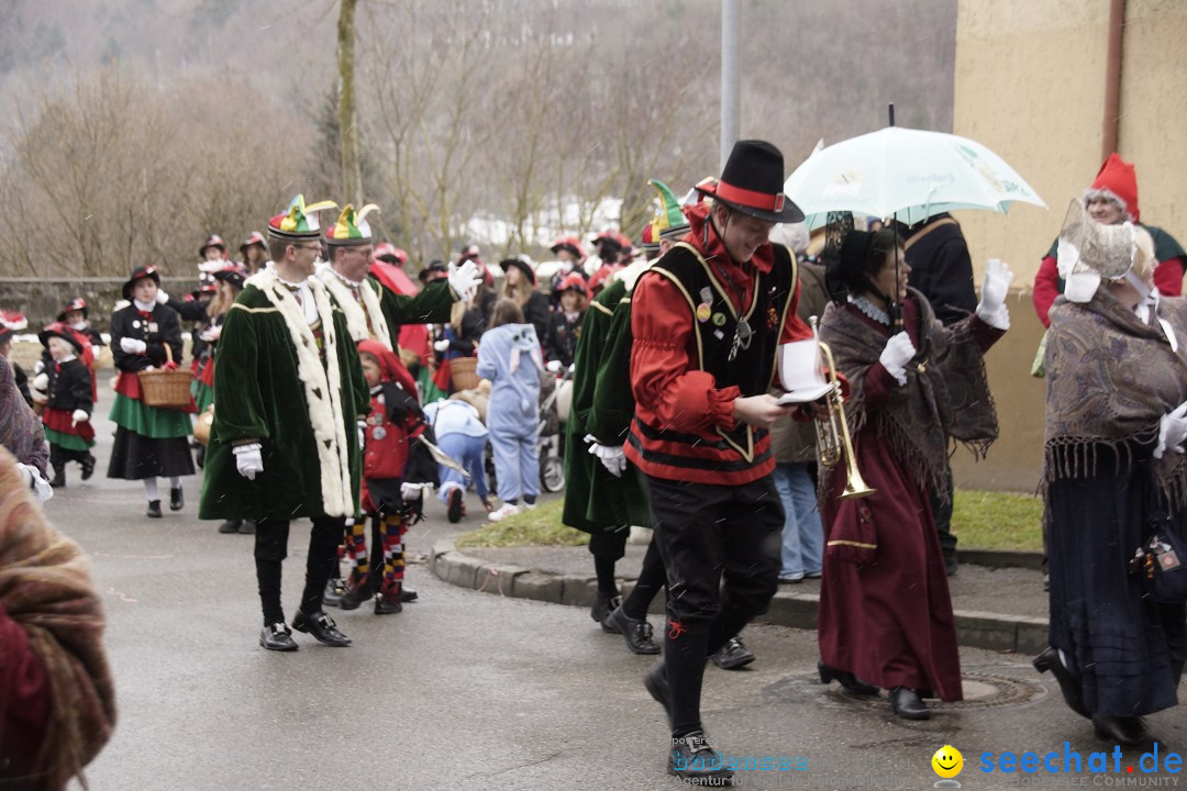 Festumzug mit Motivwagen: Stockach am Bodensee, 01.02.2015