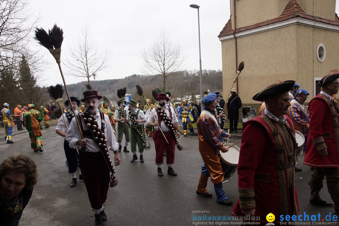 Festumzug mit Motivwagen: Stockach am Bodensee, 01.02.2015