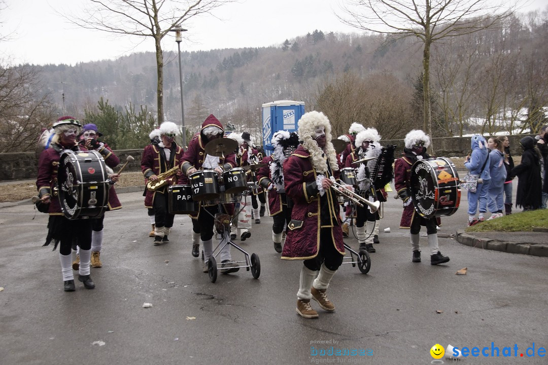 Festumzug mit Motivwagen: Stockach am Bodensee, 01.02.2015