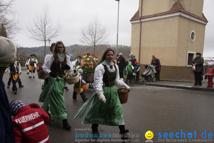Festumzug mit Motivwagen: Stockach am Bodensee, 01.02.2015