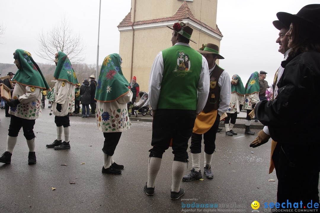 Festumzug mit Motivwagen: Stockach am Bodensee, 01.02.2015