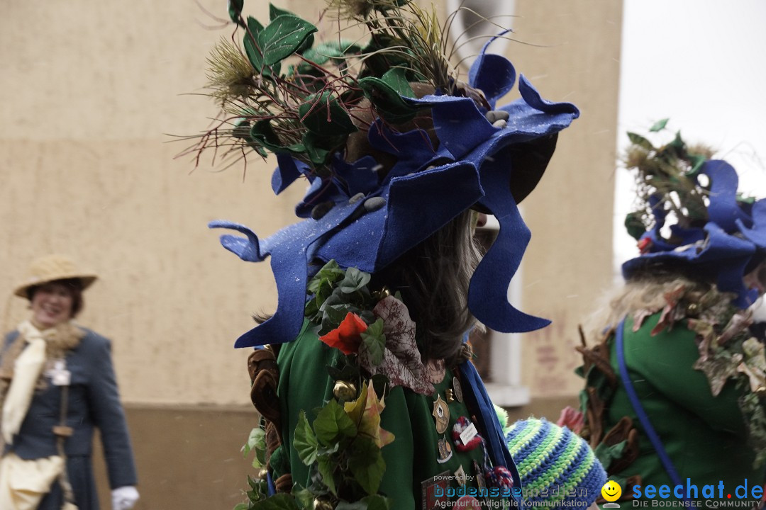 Festumzug mit Motivwagen: Stockach am Bodensee, 01.02.2015