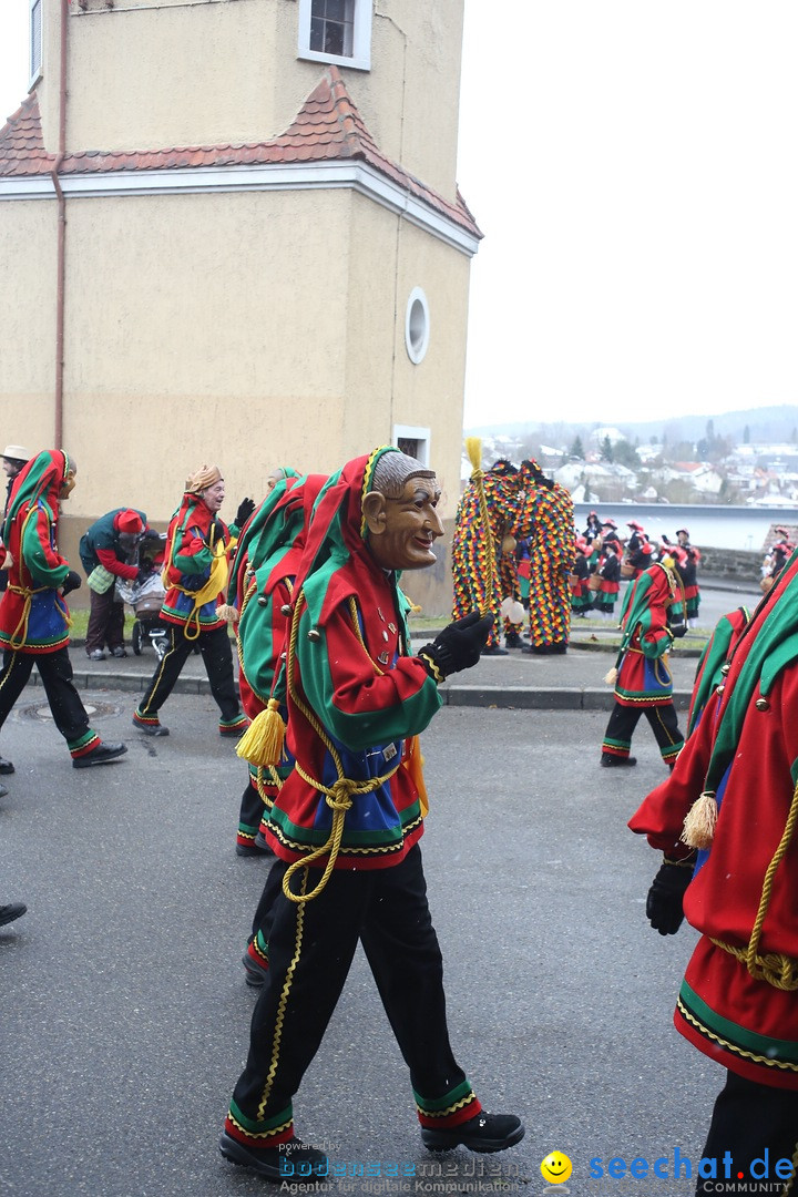 Festumzug mit Motivwagen: Stockach am Bodensee, 01.02.2015