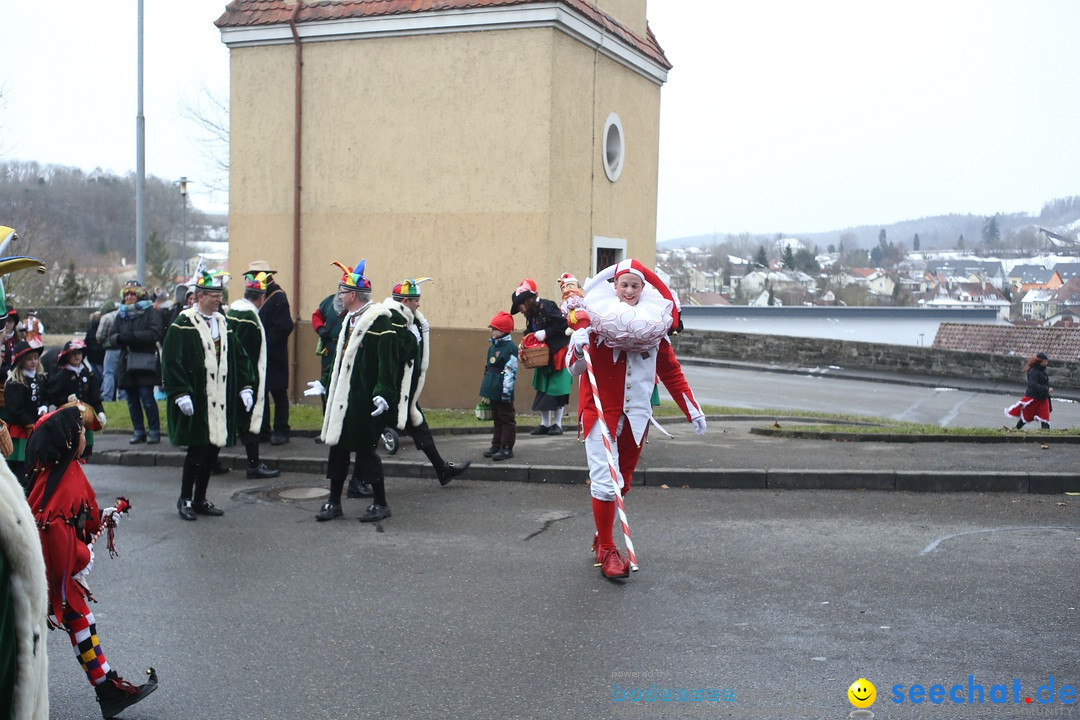 Festumzug mit Motivwagen: Stockach am Bodensee, 01.02.2015