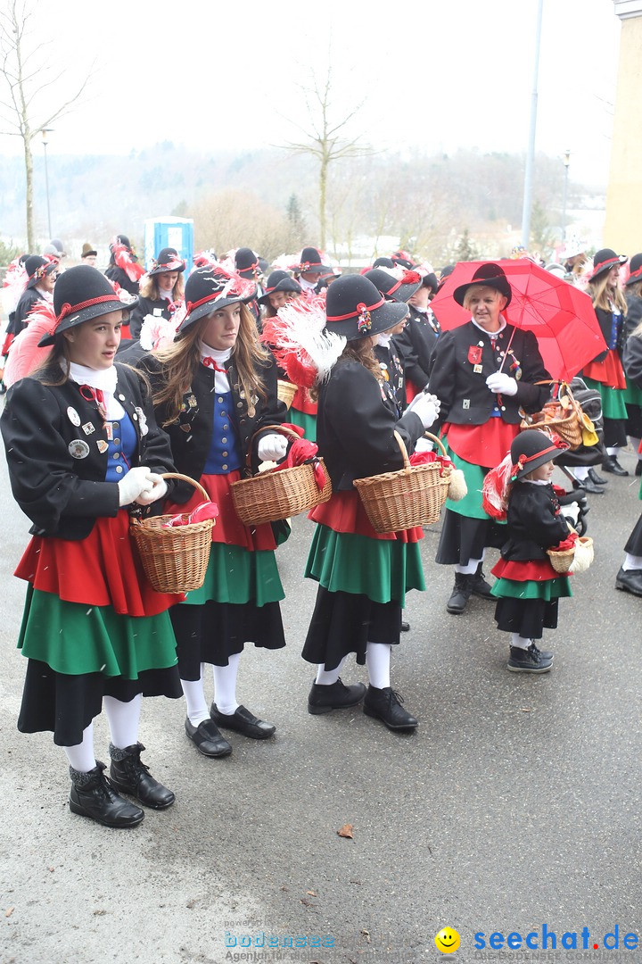 Festumzug mit Motivwagen: Stockach am Bodensee, 01.02.2015