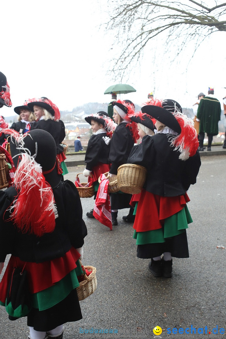 Festumzug mit Motivwagen: Stockach am Bodensee, 01.02.2015