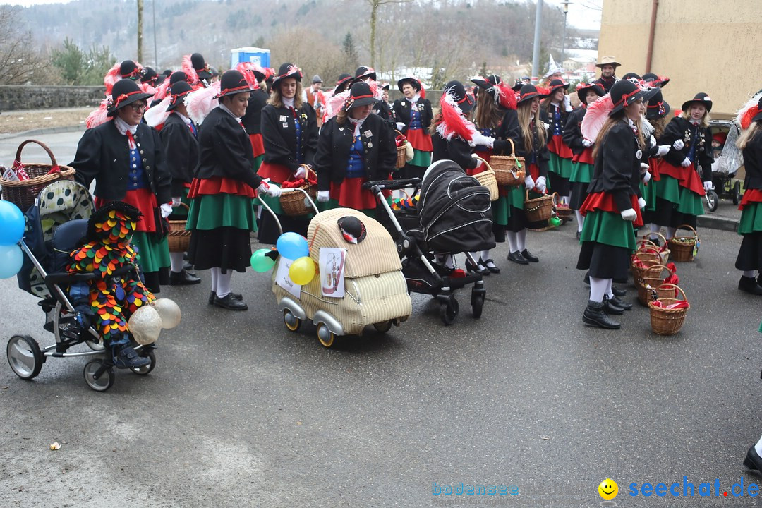 Festumzug mit Motivwagen: Stockach am Bodensee, 01.02.2015