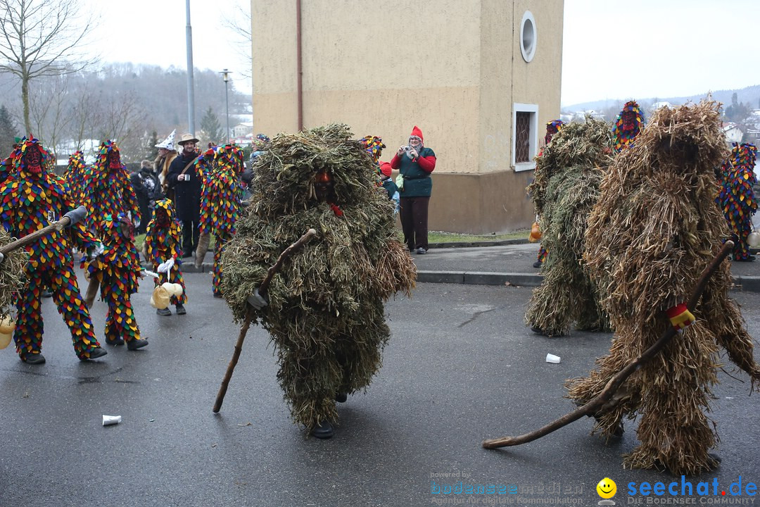 Festumzug mit Motivwagen: Stockach am Bodensee, 01.02.2015