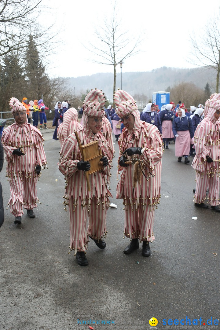 Festumzug mit Motivwagen: Stockach am Bodensee, 01.02.2015