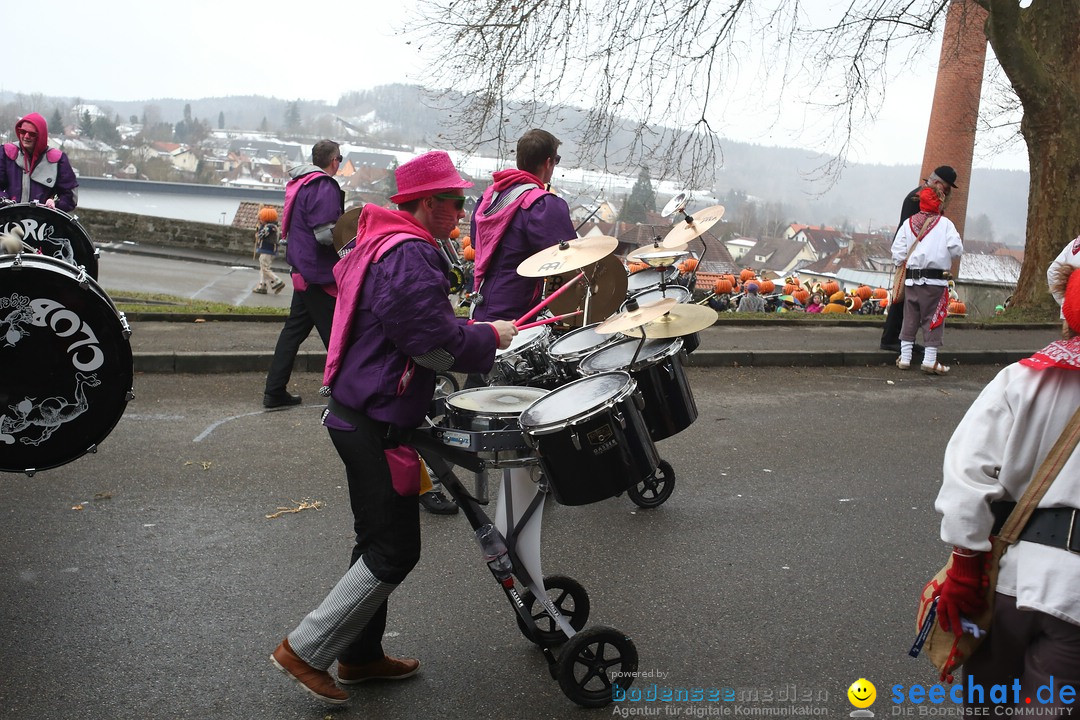 Festumzug mit Motivwagen: Stockach am Bodensee, 01.02.2015