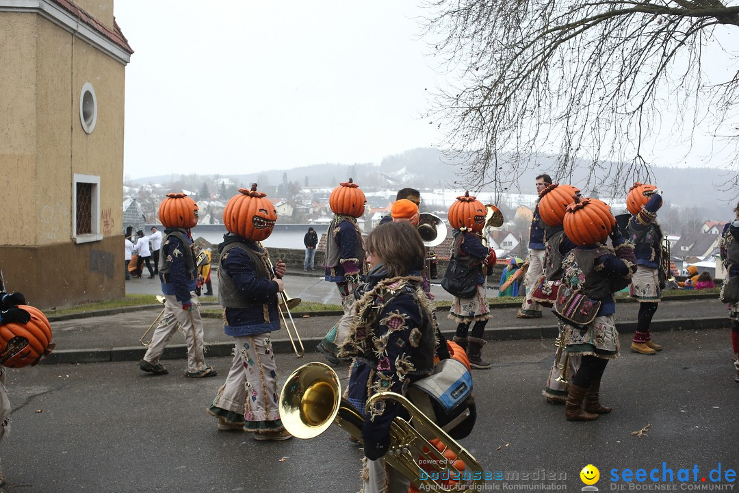 Festumzug mit Motivwagen: Stockach am Bodensee, 01.02.2015