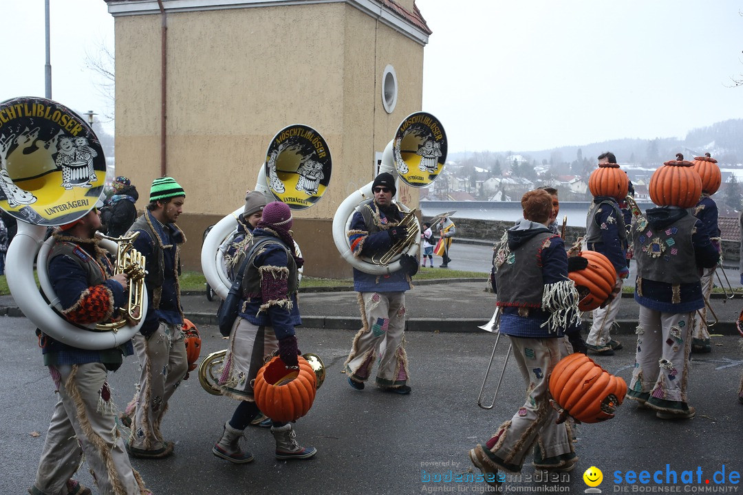Festumzug mit Motivwagen: Stockach am Bodensee, 01.02.2015