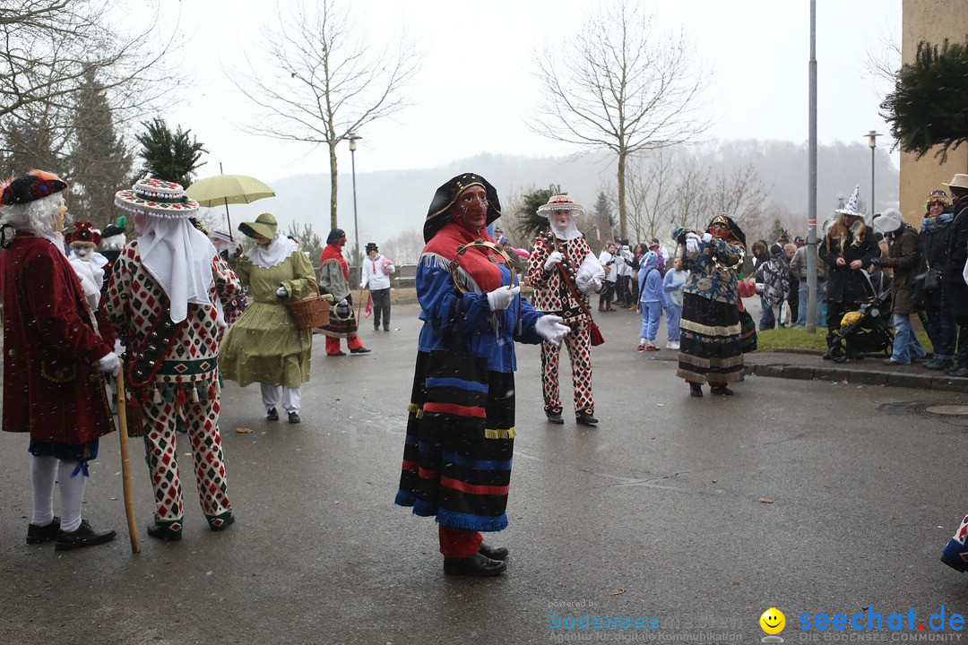Festumzug mit Motivwagen: Stockach am Bodensee, 01.02.2015
