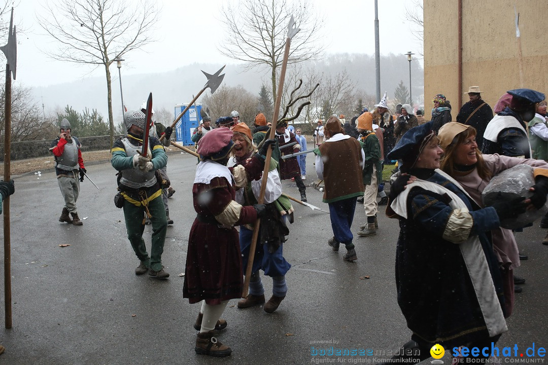 Festumzug mit Motivwagen: Stockach am Bodensee, 01.02.2015