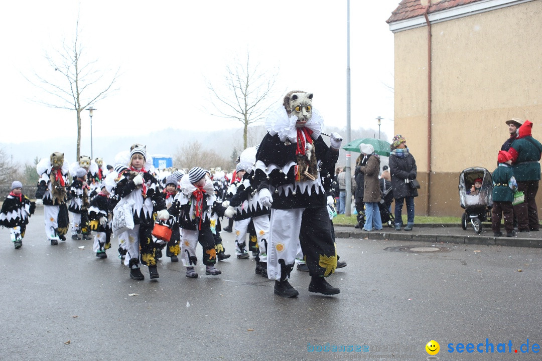 Festumzug mit Motivwagen: Stockach am Bodensee, 01.02.2015
