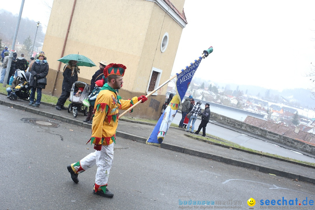 Festumzug mit Motivwagen: Stockach am Bodensee, 01.02.2015