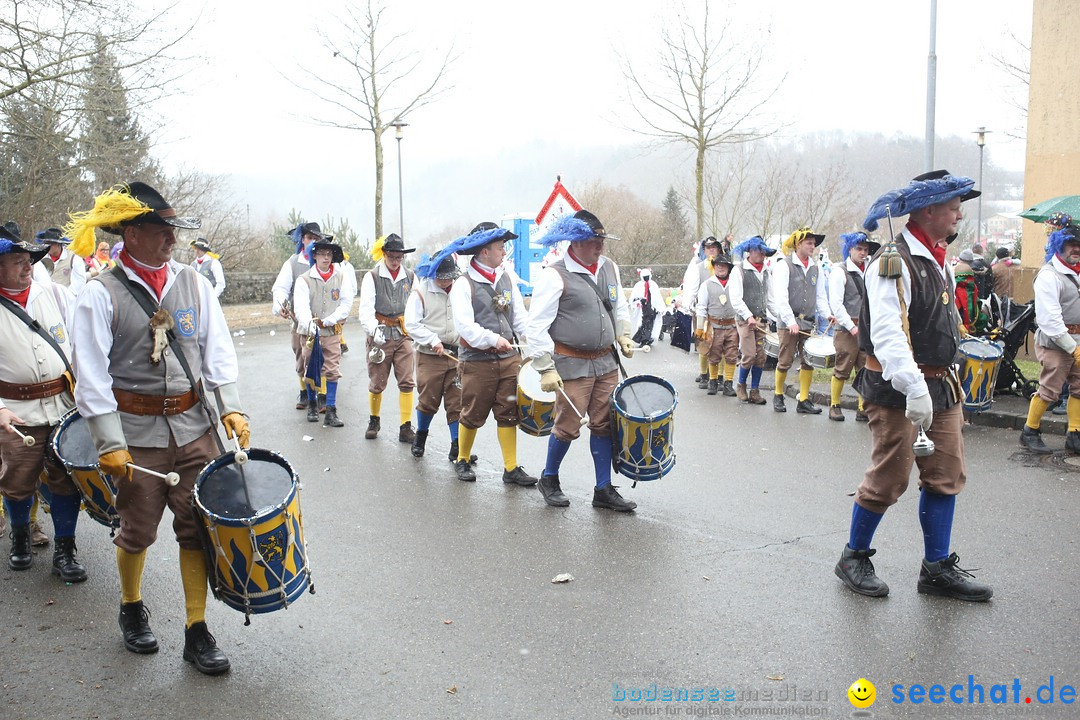 Festumzug mit Motivwagen: Stockach am Bodensee, 01.02.2015