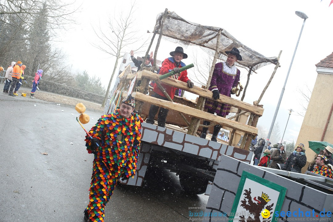 Festumzug mit Motivwagen: Stockach am Bodensee, 01.02.2015