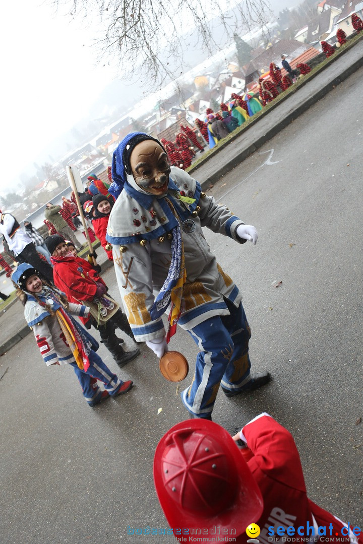 Festumzug mit Motivwagen: Stockach am Bodensee, 01.02.2015