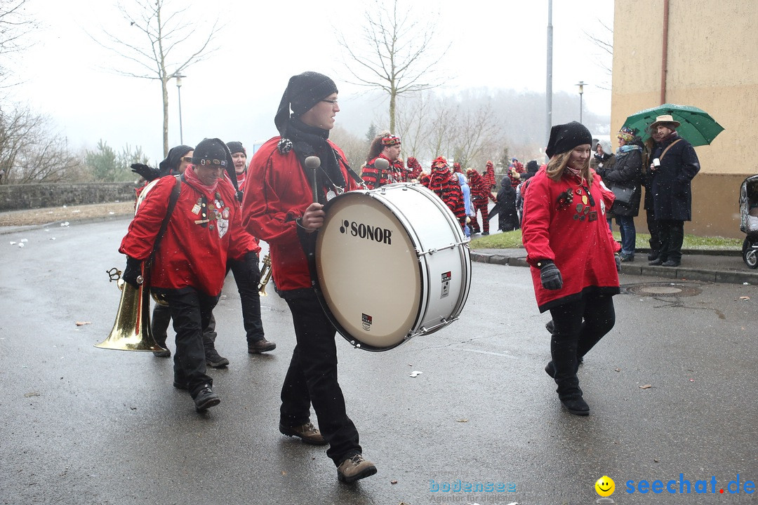 Festumzug mit Motivwagen: Stockach am Bodensee, 01.02.2015