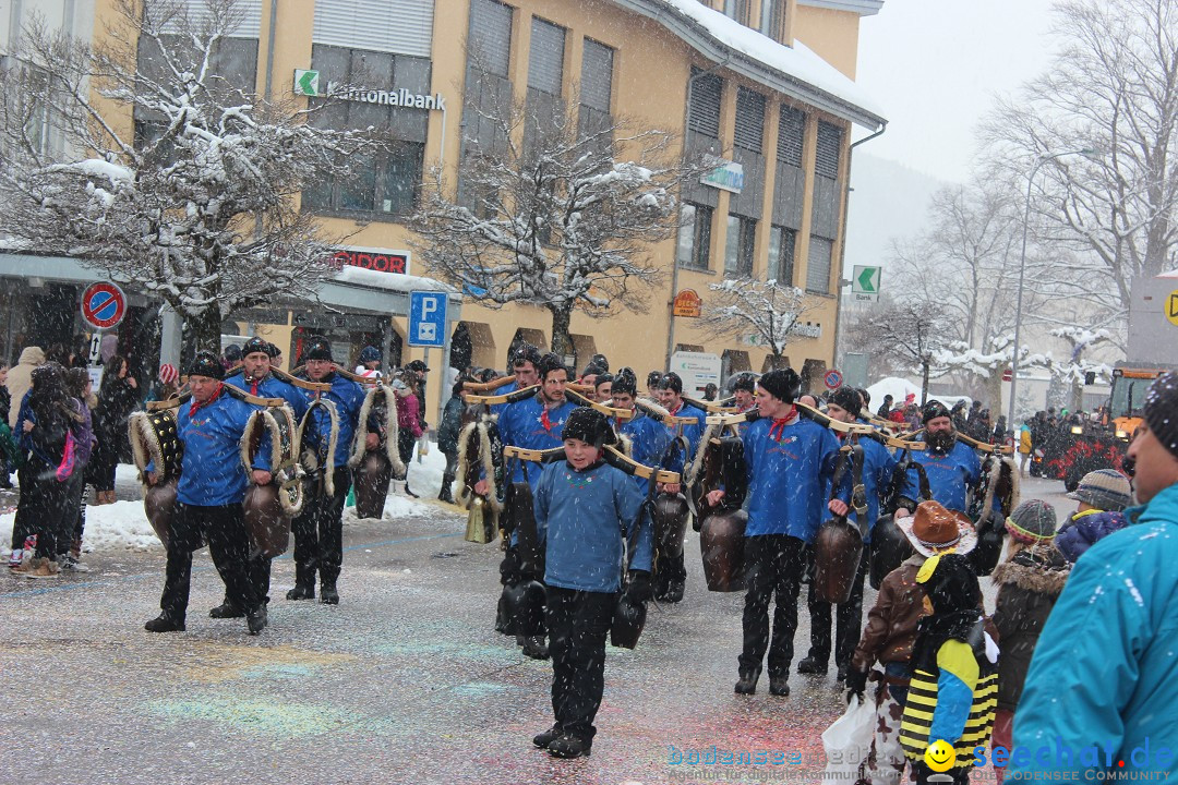 Fasnachtsumzug: Wattwil - Schweiz, 01.02.2015