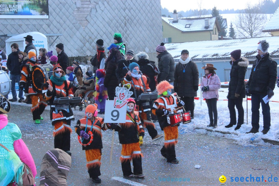 Fasnachtsumzug: Lengenwil - Schweiz, 08.02.2015
