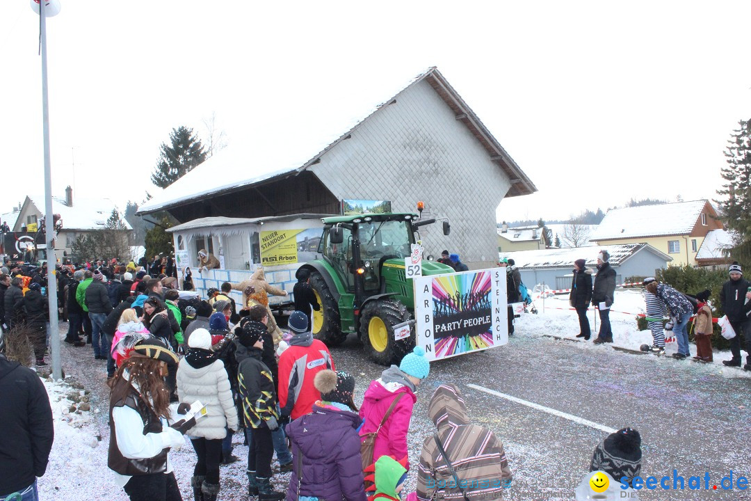 Fasnachtsumzug: Lengenwil - Schweiz, 08.02.2015