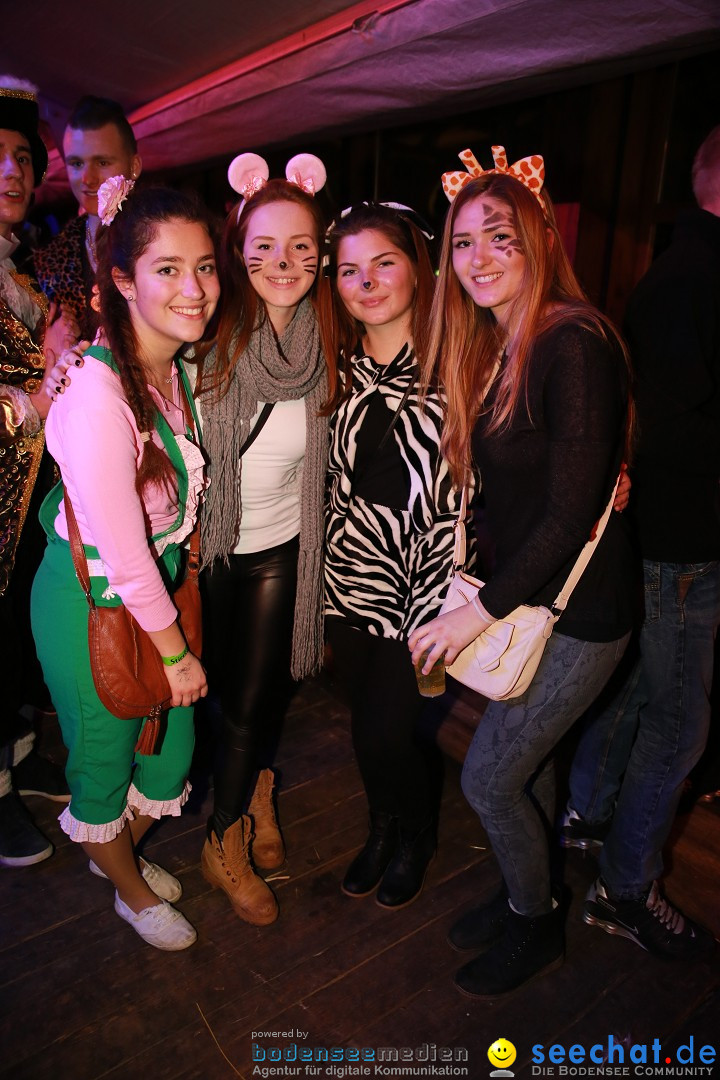STIERBALL 2015 mit Party-Band HEAVEN: Wahlwies am Bodensee, 13.02.2015