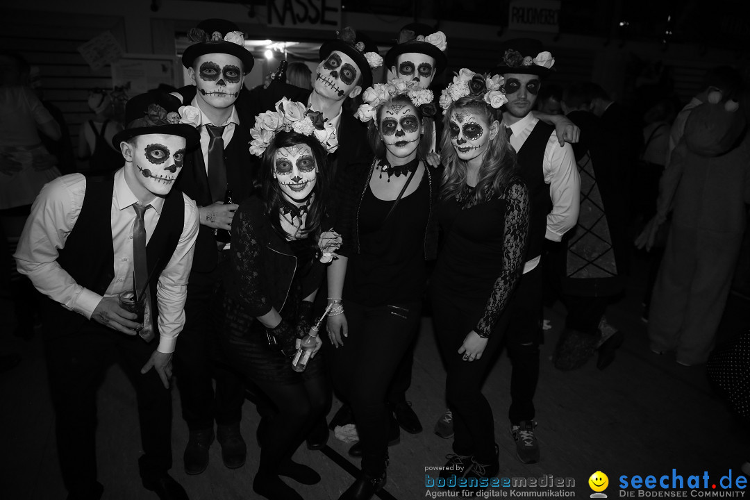 STIERBALL 2015 mit Party-Band HEAVEN: Wahlwies am Bodensee, 13.02.2015