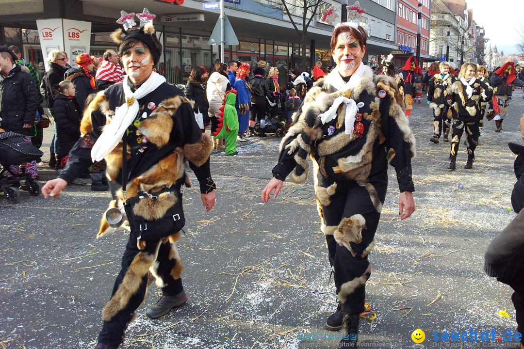 Fasnetsumzug mit Poppele Zunft: Singen am Bodensee, 14.02.2015