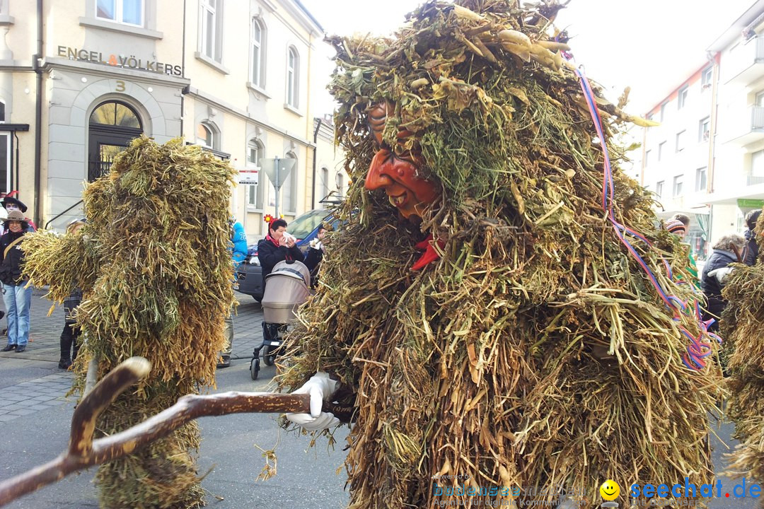 Fasnetsumzug mit Poppele Zunft: Singen am Bodensee, 14.02.2015