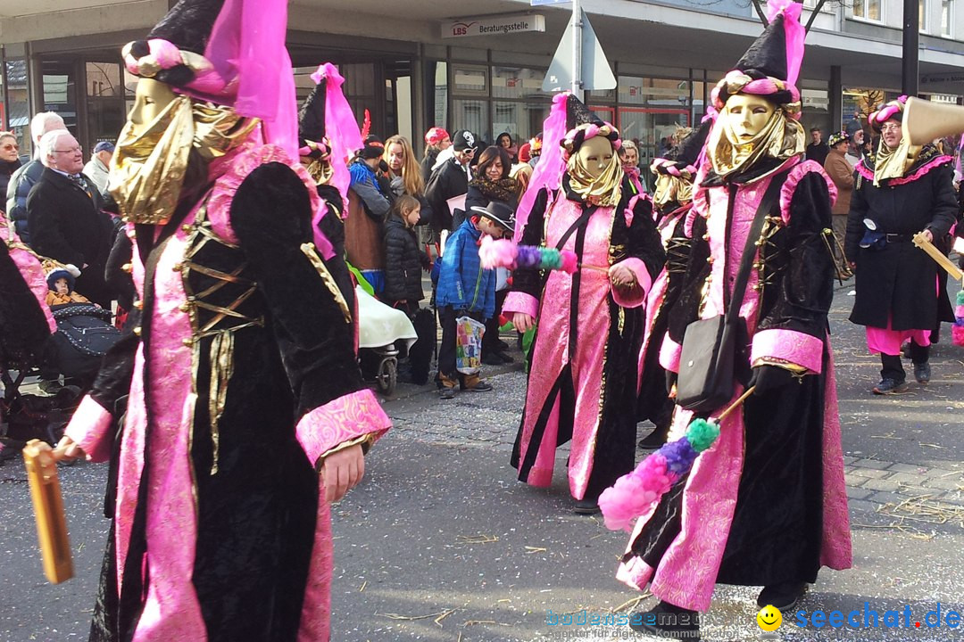 Fasnetsumzug mit Poppele Zunft: Singen am Bodensee, 14.02.2015