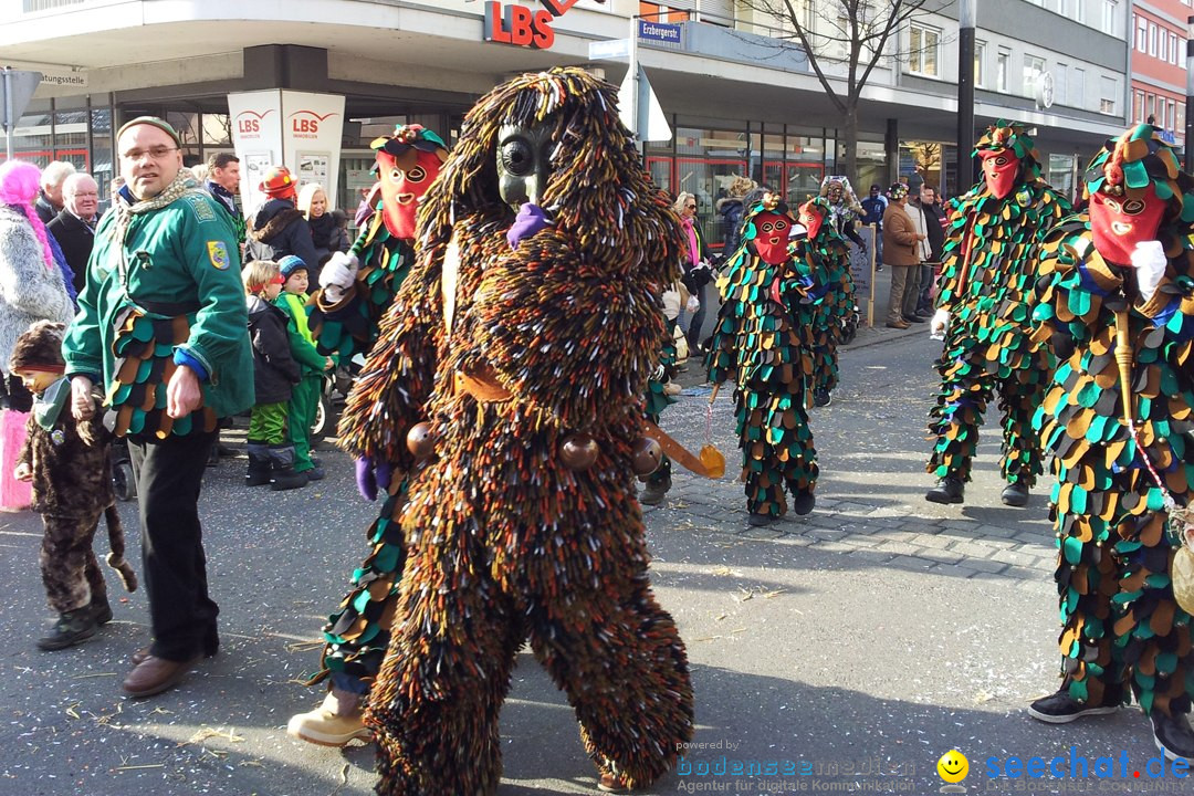 Fasnetsumzug mit Poppele Zunft: Singen am Bodensee, 14.02.2015