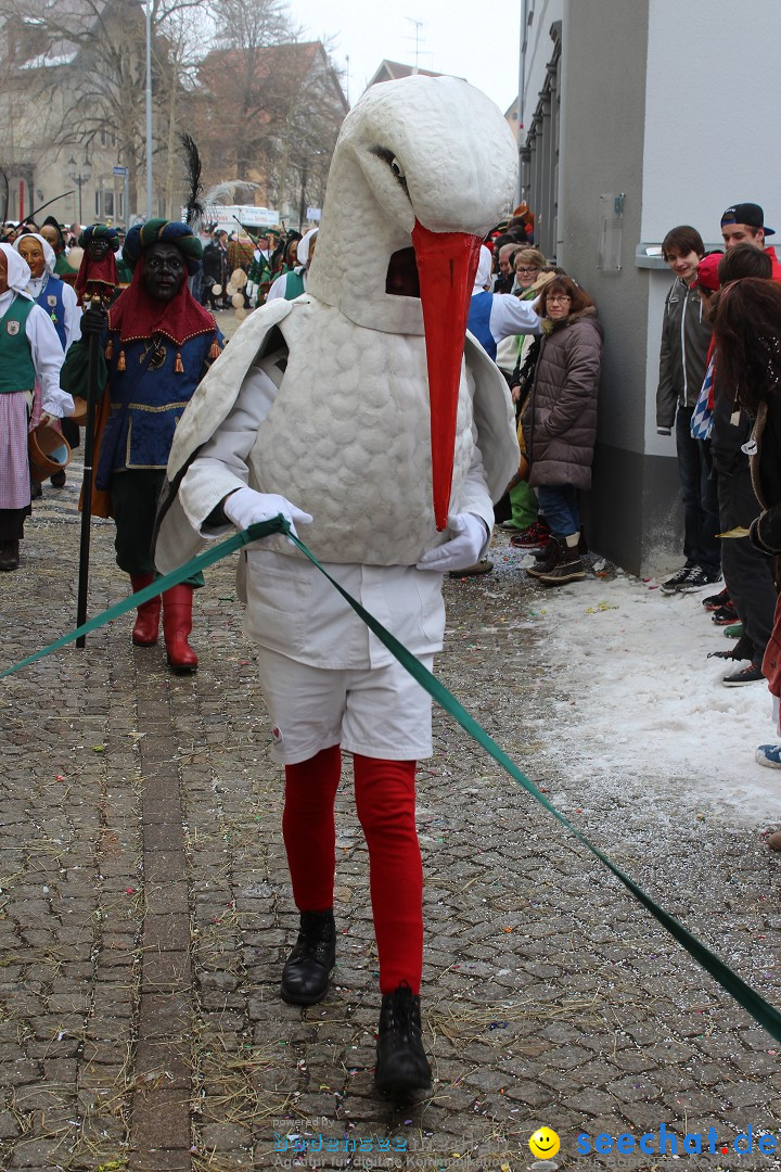 Rosenmontags-Umzug: Messkirch am Bodensee, 16.02.2015
