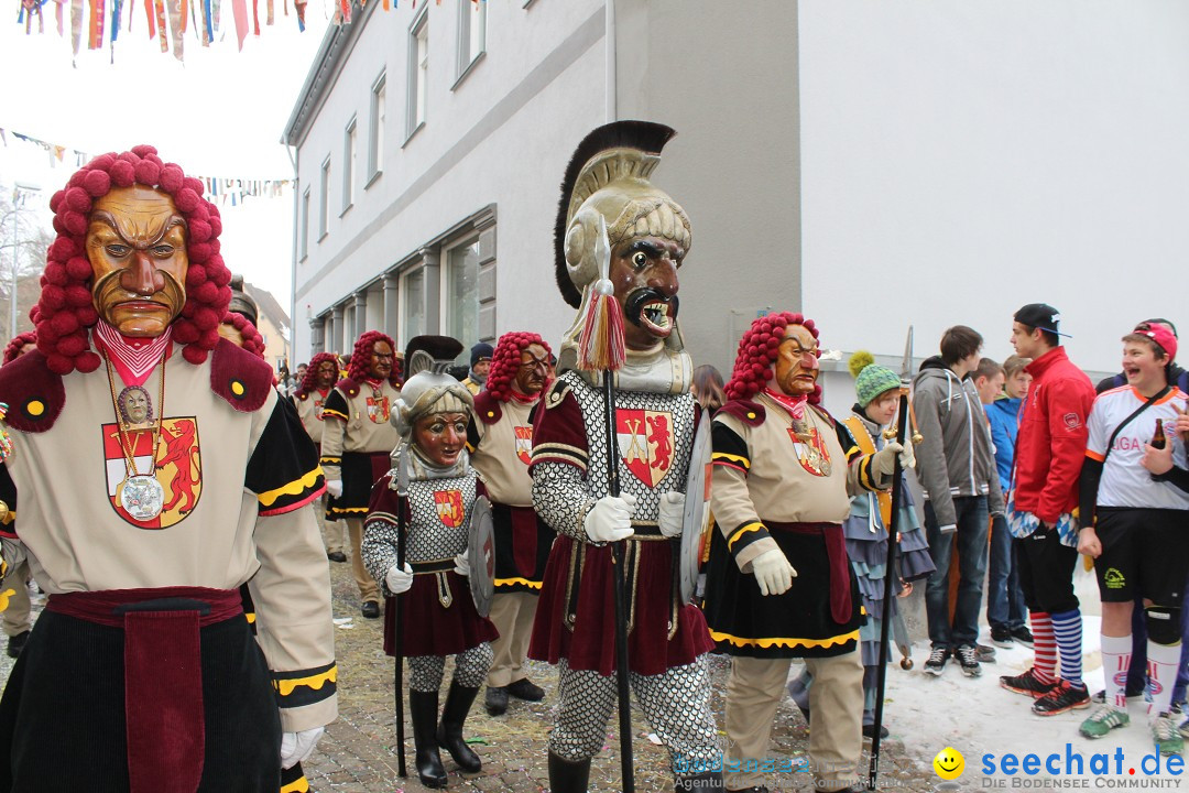Rosenmontags-Umzug: Messkirch am Bodensee, 16.02.2015