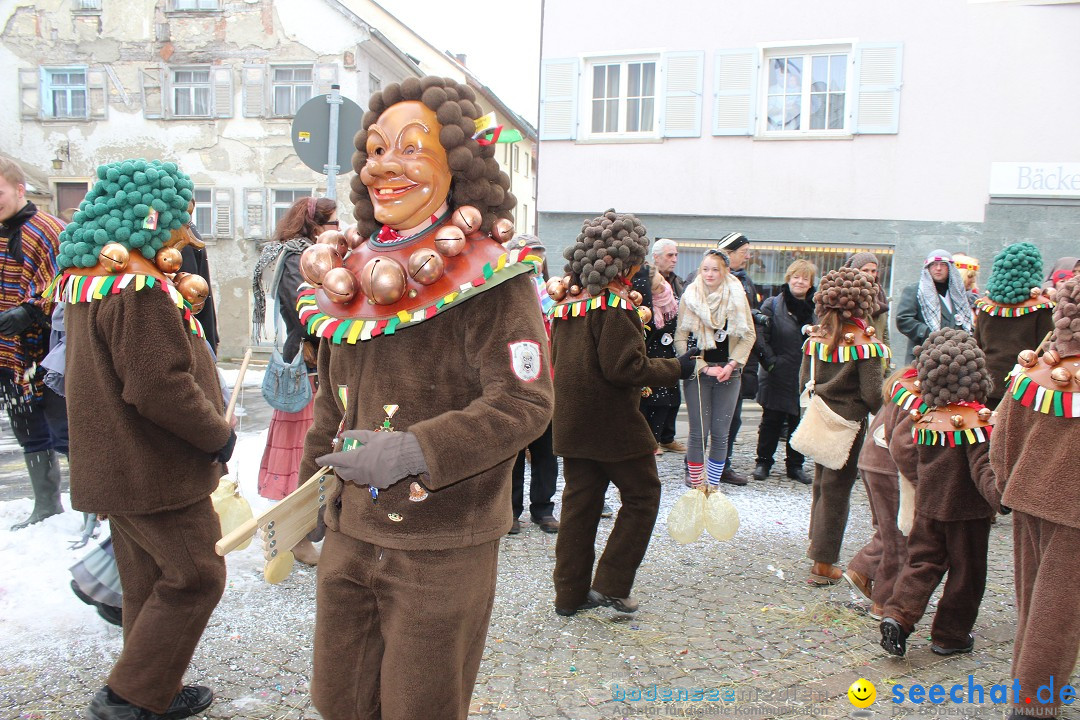 Rosenmontags-Umzug: Messkirch am Bodensee, 16.02.2015