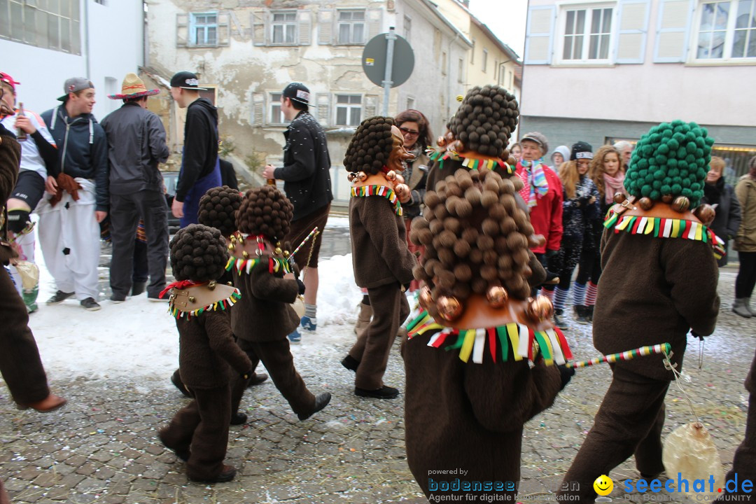 Rosenmontags-Umzug: Messkirch am Bodensee, 16.02.2015