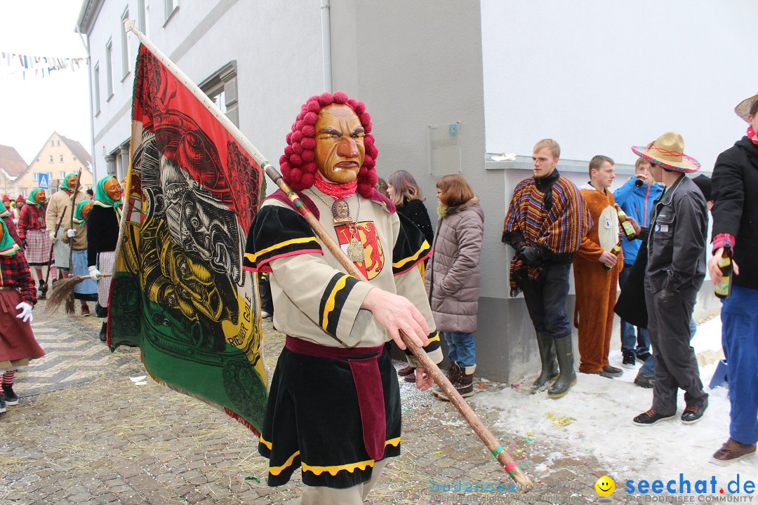 Rosenmontags-Umzug: Messkirch am Bodensee, 16.02.2015