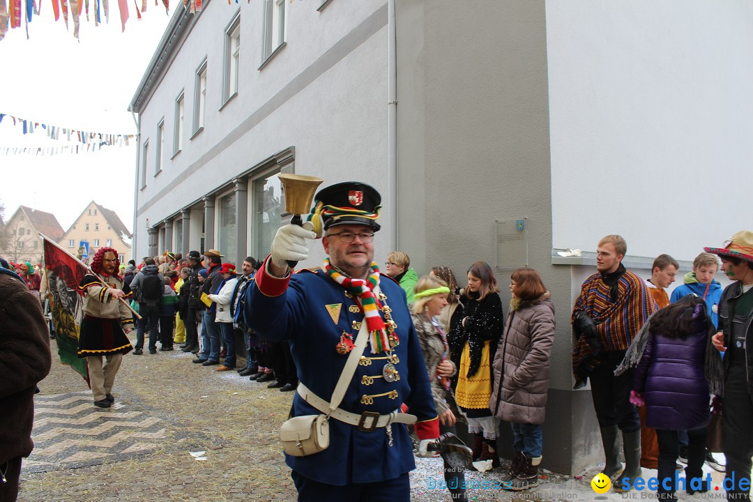 Rosenmontags-Umzug: Messkirch am Bodensee, 16.02.2015