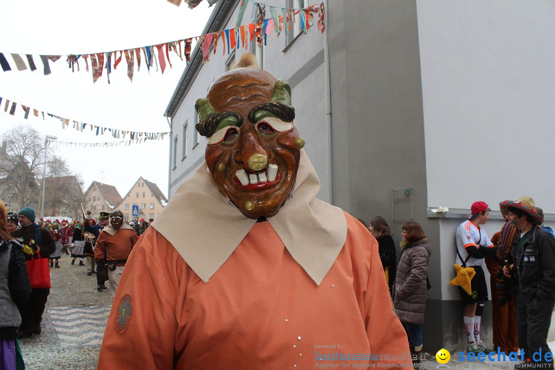 Rosenmontags-Umzug: Messkirch am Bodensee, 16.02.2015