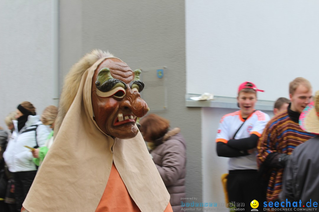 Rosenmontags-Umzug: Messkirch am Bodensee, 16.02.2015