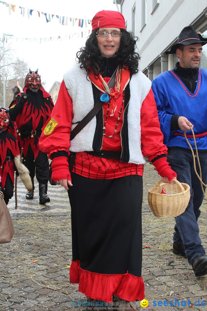 Rosenmontags-Umzug: Messkirch am Bodensee, 16.02.2015