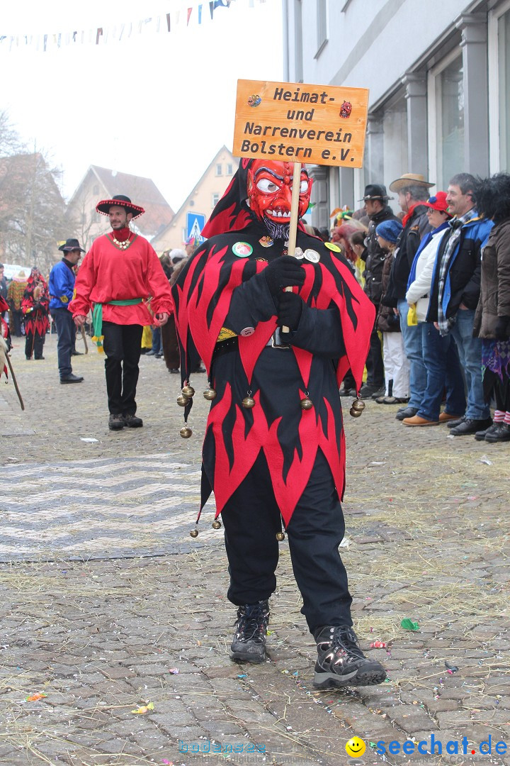 Rosenmontags-Umzug: Messkirch am Bodensee, 16.02.2015