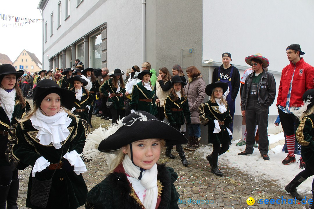 Rosenmontags-Umzug: Messkirch am Bodensee, 16.02.2015