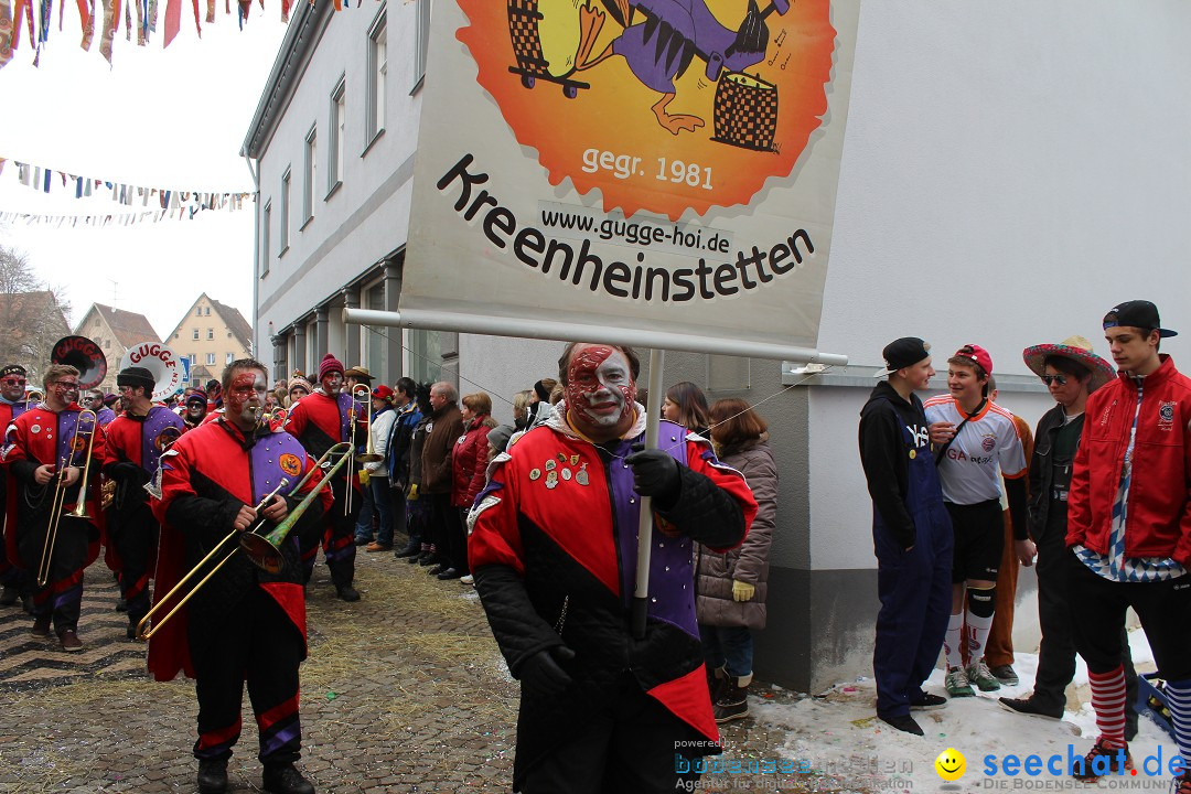 Rosenmontags-Umzug: Messkirch am Bodensee, 16.02.2015