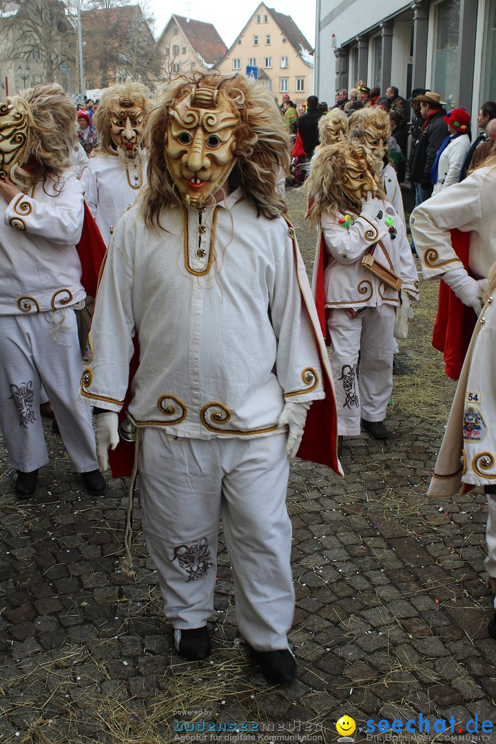 Rosenmontags-Umzug: Messkirch am Bodensee, 16.02.2015